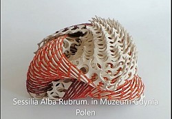 Sessilia Alba Rubrum, eervolle veemelding in Polen